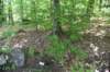 dsc_9551_fs_small.jpg