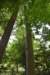 dsc_9554_fs_small.jpg