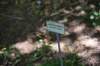 dsc_9559_fs_small.jpg