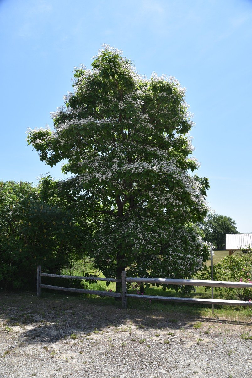 dsc_9578_fs.jpg