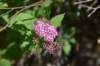 dsc_9583_fs_small.jpg