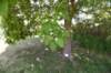 dsc_9587_fs_small.jpg