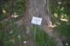 dsc_9588_fs_small.jpg