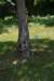 dsc_9593_fs_small.jpg