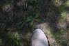 dsc_9594_fs_small.jpg