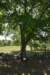 dsc_9596_fs_small.jpg
