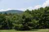 dsc_9600_fs_small.jpg