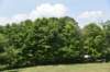 dsc_9601_fs_small.jpg