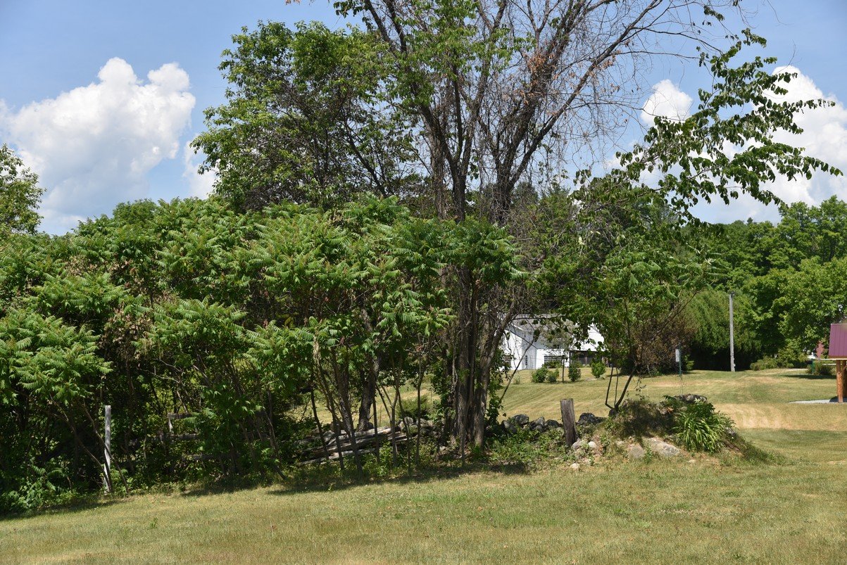dsc_9604_fs.jpg