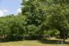 dsc_9606_fs_small.jpg