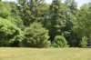 dsc_9609_fs_small.jpg