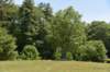 dsc_9610_fs_small.jpg