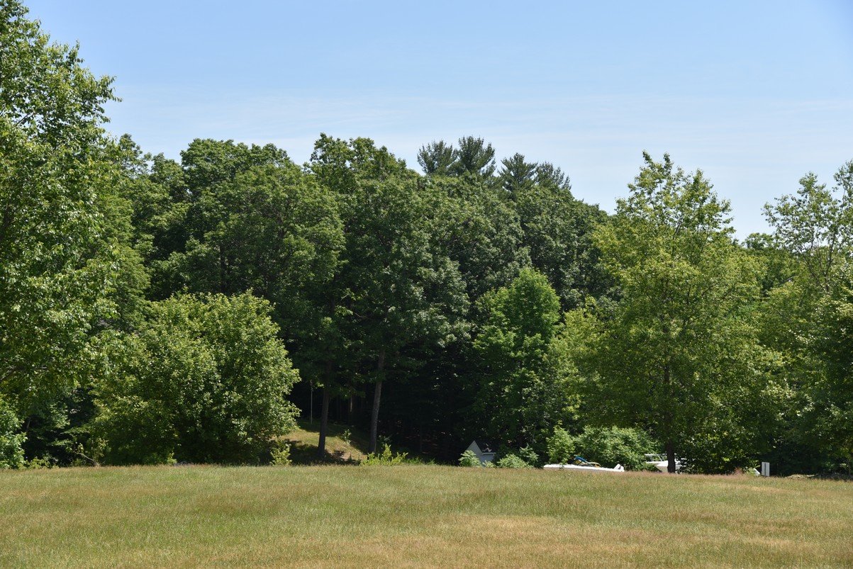 dsc_9611_fs.jpg