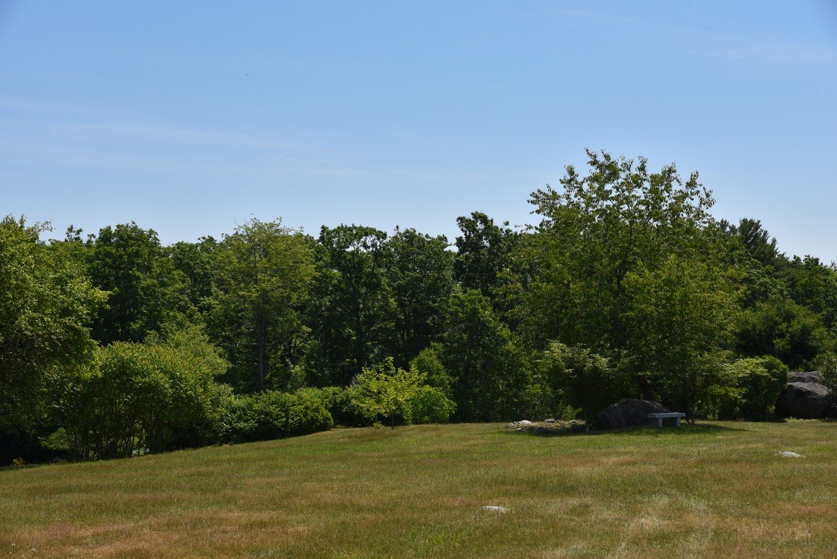 dsc_9613_fs.jpg