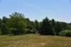 dsc_9614_fs_small.jpg