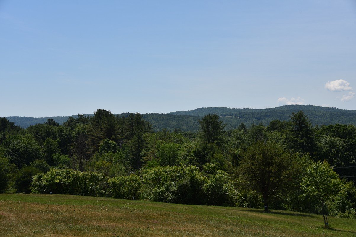 dsc_9616_fs.jpg