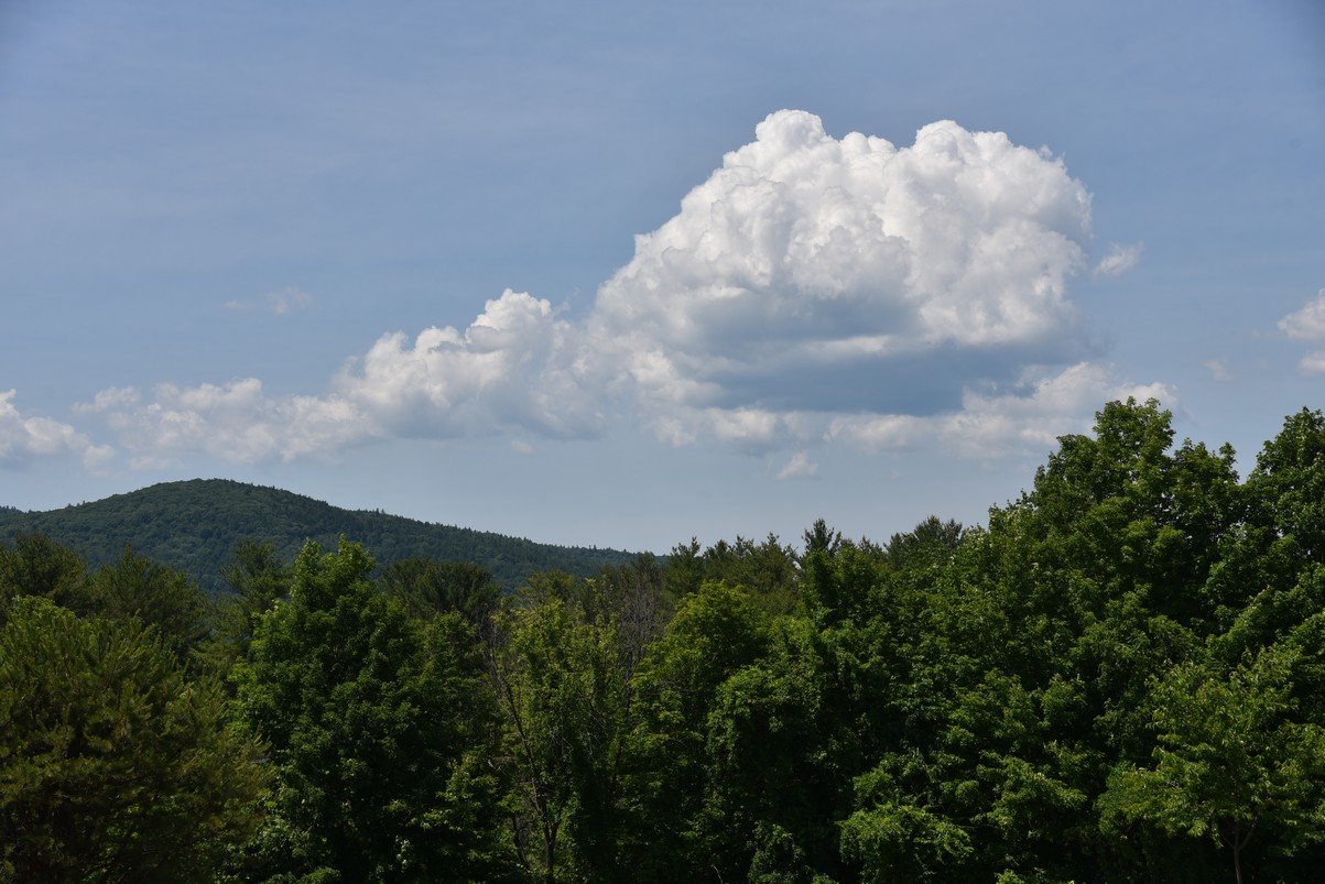 dsc_9619_fs.jpg