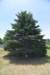 dsc_9620_fs_small.jpg