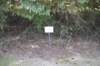 dsc_9621_fs_small.jpg