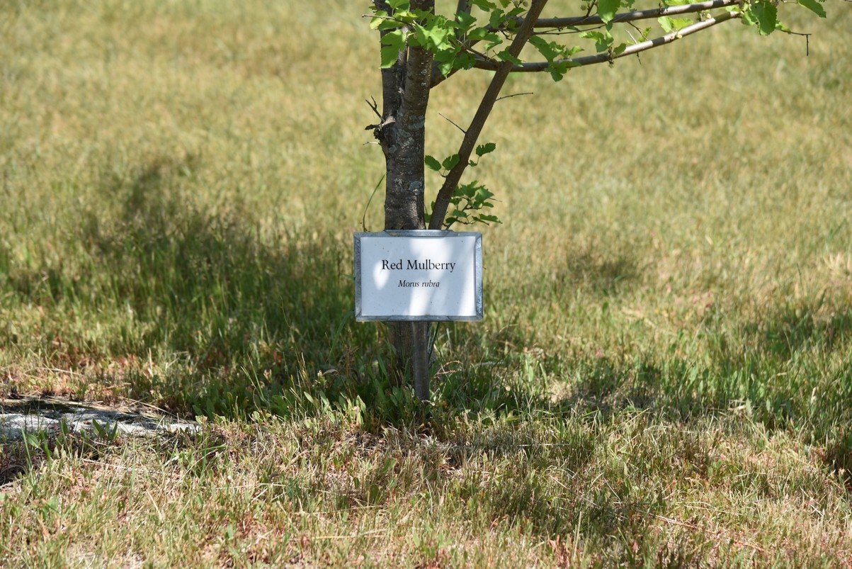 dsc_9623_fs.jpg