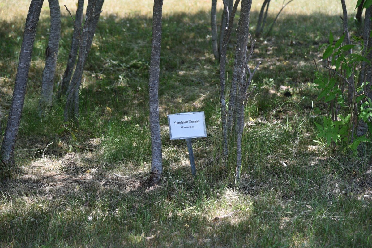 dsc_9625_fs.jpg