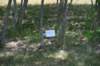dsc_9625_fs_small.jpg