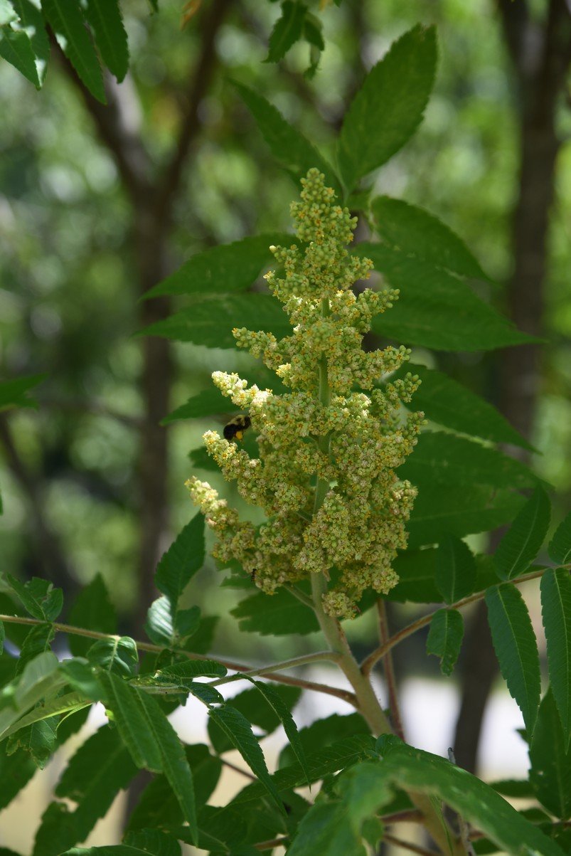 dsc_9626_fs.jpg