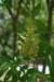 dsc_9626_fs_small.jpg