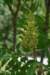 dsc_9627_fs_small.jpg