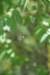 dsc_9628_fs_small.jpg