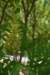 dsc_9629_fs_small.jpg