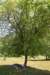 dsc_9630_fs_small.jpg