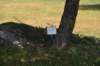 dsc_9631_fs_small.jpg