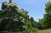 dsc_9638_fs_small.jpg