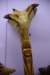 dsc_9664_fs_small.jpg