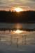 dsc_9779_fs_small.jpg
