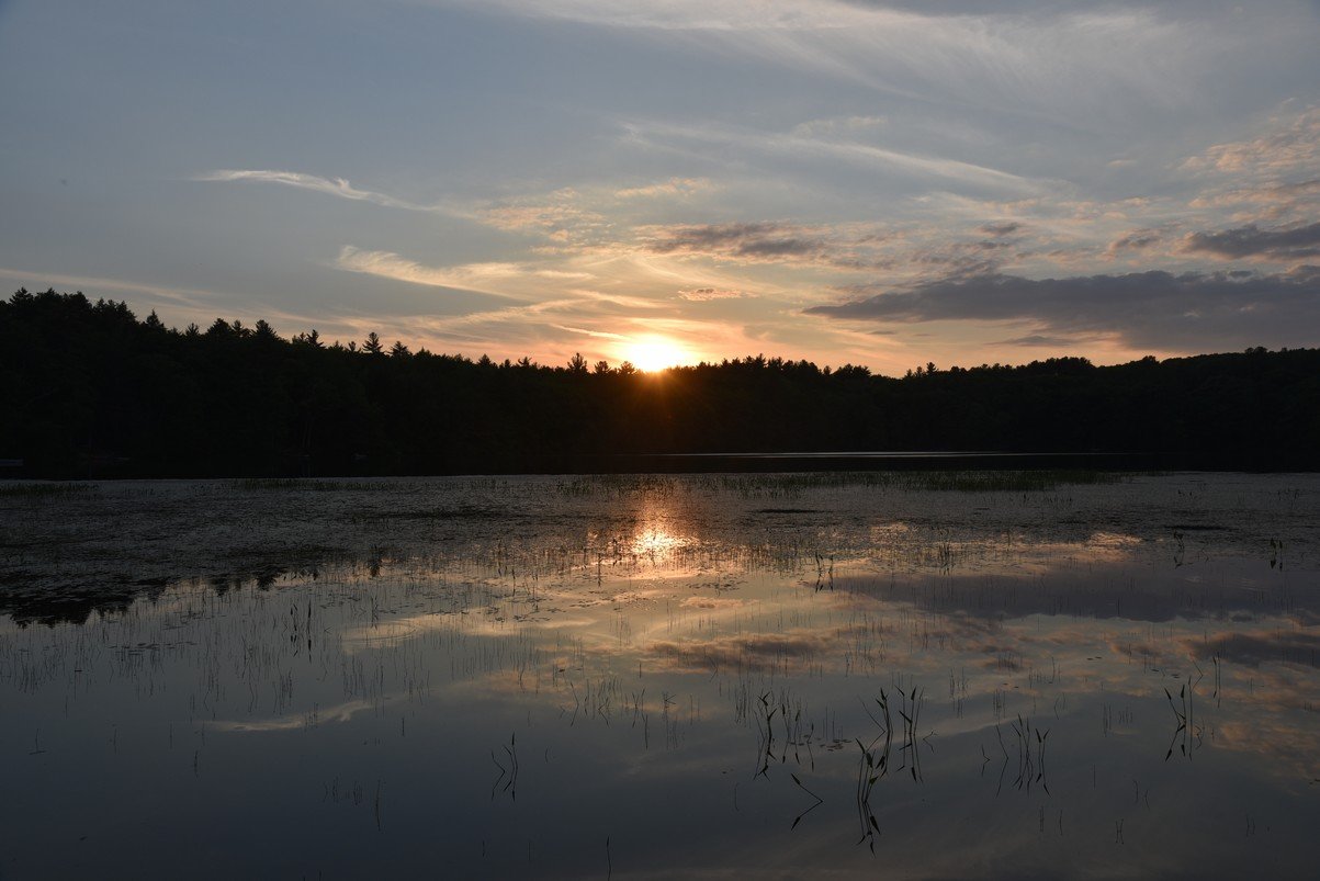 dsc_9784_fs.jpg