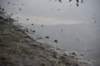 dsc_9785_fs_small.jpg