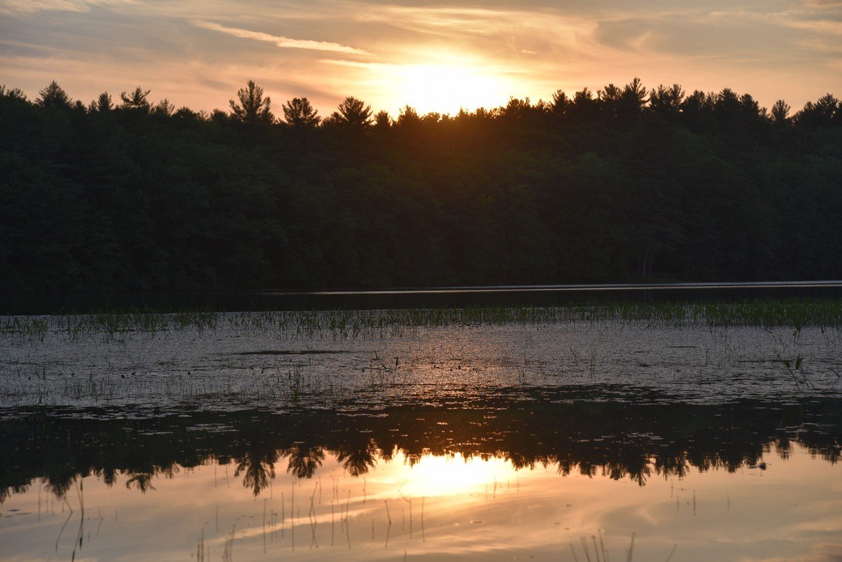 dsc_9787_fs.jpg