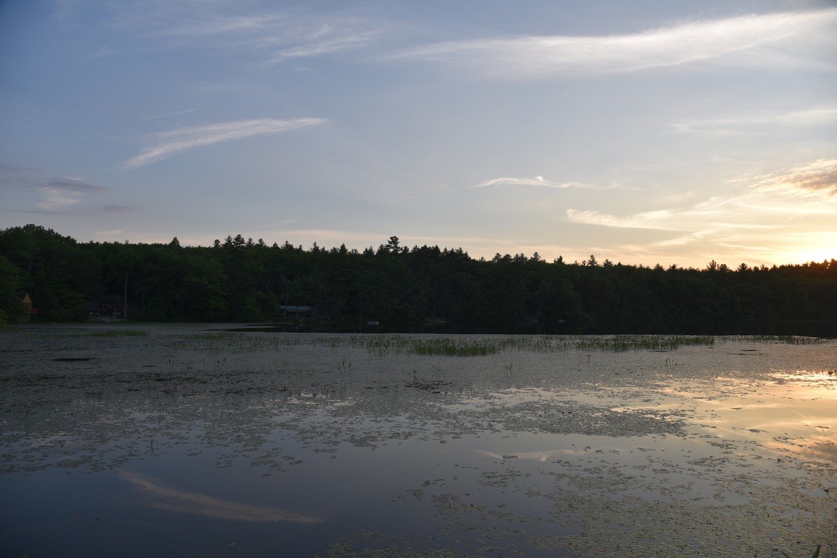 dsc_9795_fs.jpg
