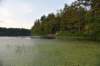 dsc_9799_fs_small.jpg