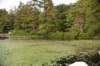dsc_9800_fs_small.jpg
