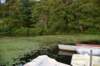 dsc_9801_fs_small.jpg