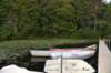 dsc_9802_fs_small.jpg