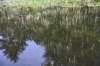 dsc_9812_fs_small.jpg