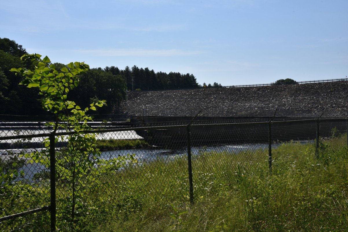 dsc_9835_fs.jpg