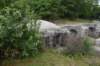 dsc_0040_fs_small.jpg