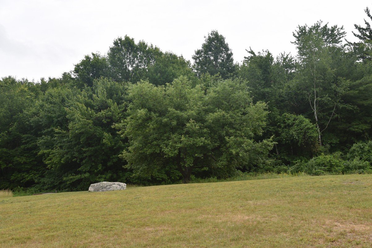 dsc_9974_fs.jpg