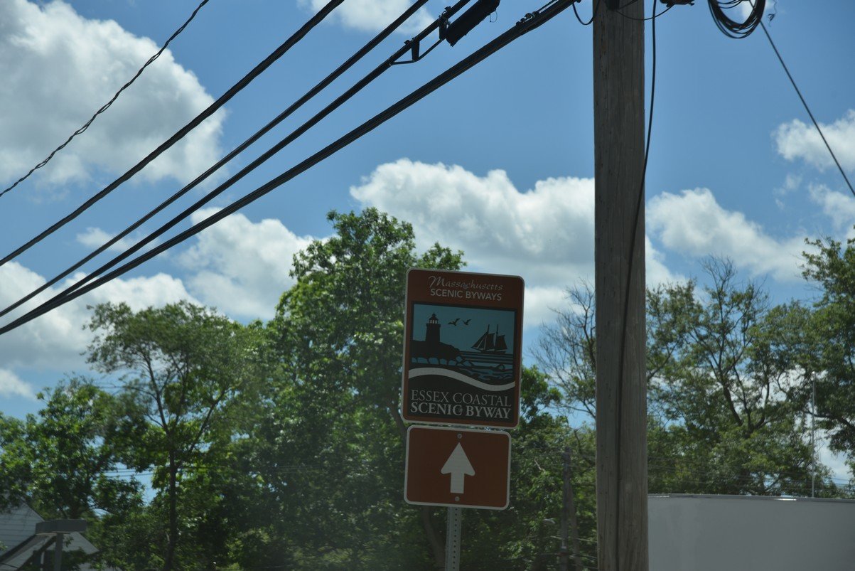 dsc_0201_fs.jpg