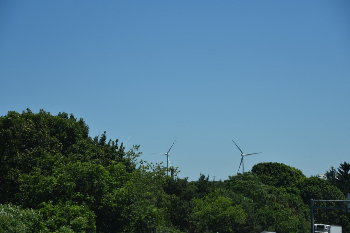 dsc_0218_fs.jpg